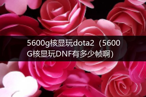 5600g核显玩dota2（5600G核显玩DNF有多少帧啊）