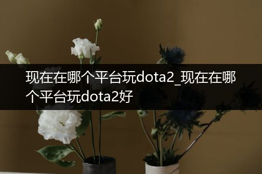 现在在哪个平台玩dota2_现在在哪个平台玩dota2好