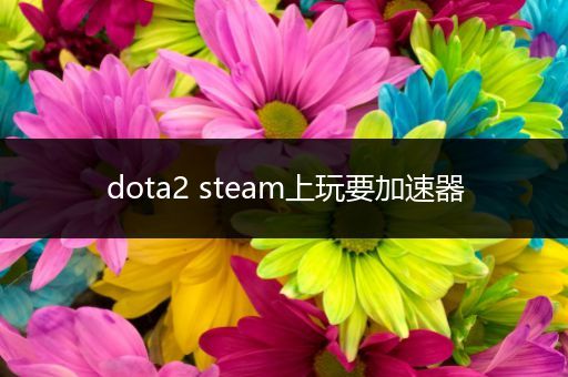 dota2 steam上玩要加速器