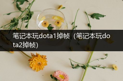 笔记本玩dota1掉帧（笔记本玩dota2掉帧）