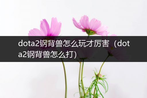 dota2钢背兽怎么玩才厉害（dota2钢背兽怎么打）