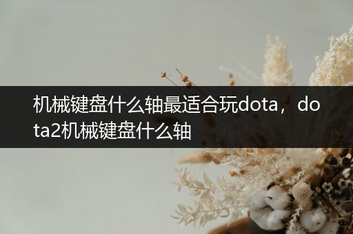 机械键盘什么轴最适合玩dota，dota2机械键盘什么轴