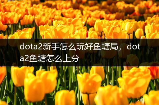 dota2新手怎么玩好鱼塘局，dota2鱼塘怎么上分