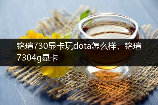 铭瑄730显卡玩dota怎么样，铭瑄7304g显卡