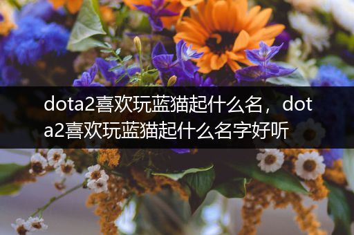 dota2喜欢玩蓝猫起什么名，dota2喜欢玩蓝猫起什么名字好听