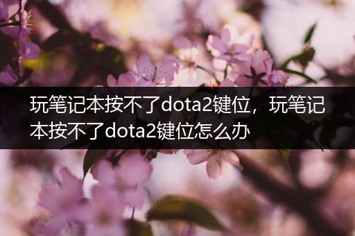 玩笔记本按不了dota2键位，玩笔记本按不了dota2键位怎么办