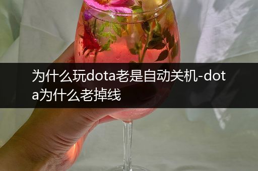 为什么玩dota老是自动关机-dota为什么老掉线