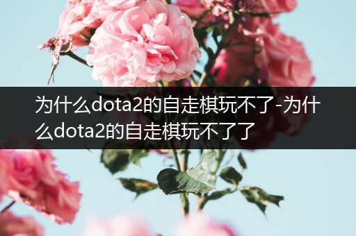 为什么dota2的自走棋玩不了-为什么dota2的自走棋玩不了了