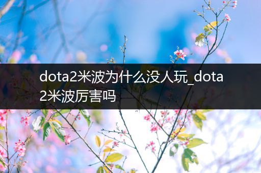 dota2米波为什么没人玩_dota2米波厉害吗