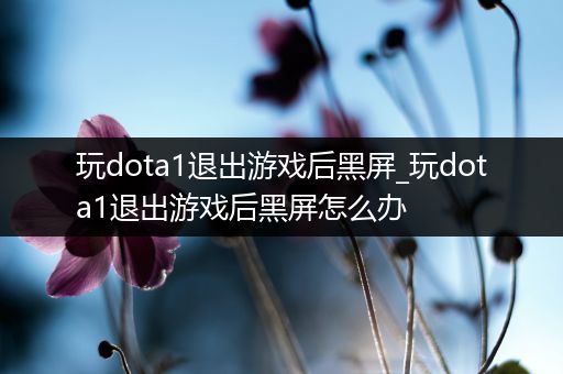 玩dota1退出游戏后黑屏_玩dota1退出游戏后黑屏怎么办