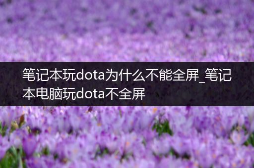 笔记本玩dota为什么不能全屏_笔记本电脑玩dota不全屏