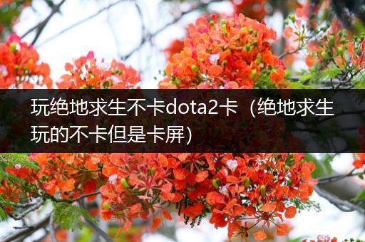 玩绝地求生不卡dota2卡（绝地求生玩的不卡但是卡屏）