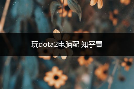 玩dota2电脑配 知乎置