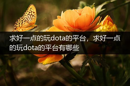 求好一点的玩dota的平台，求好一点的玩dota的平台有哪些