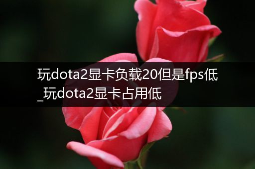 玩dota2显卡负载20但是fps低_玩dota2显卡占用低