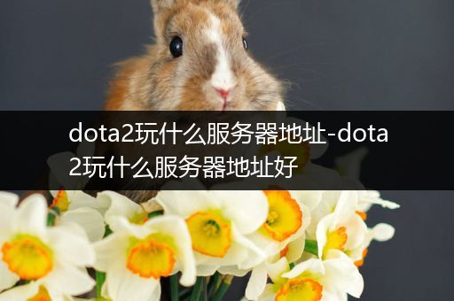 dota2玩什么服务器地址-dota2玩什么服务器地址好