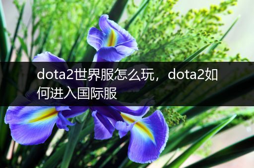 dota2世界服怎么玩，dota2如何进入国际服