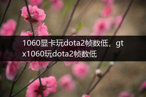 1060显卡玩dota2帧数低，gtx1060玩dota2帧数低