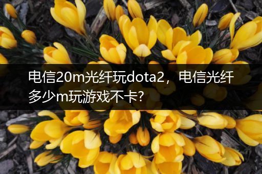 电信20m光纤玩dota2，电信光纤多少m玩游戏不卡?