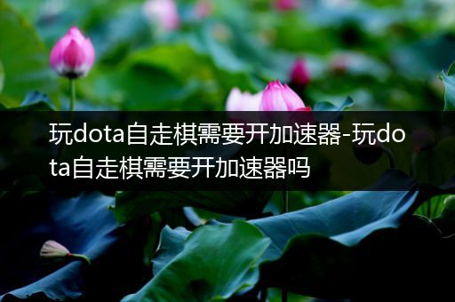 玩dota自走棋需要开加速器-玩dota自走棋需要开加速器吗