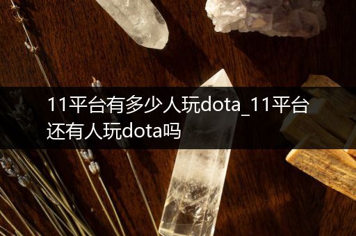 11平台有多少人玩dota_11平台还有人玩dota吗