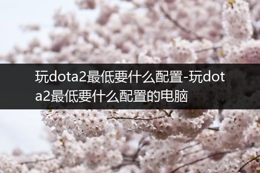 玩dota2最低要什么配置-玩dota2最低要什么配置的电脑
