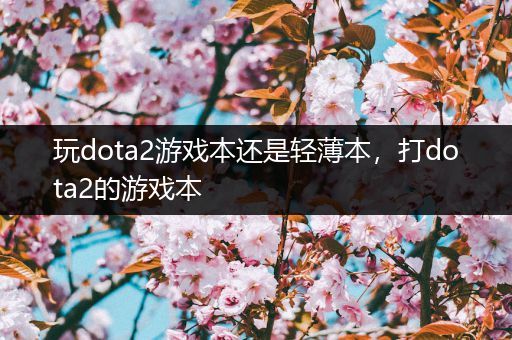 玩dota2游戏本还是轻薄本，打dota2的游戏本