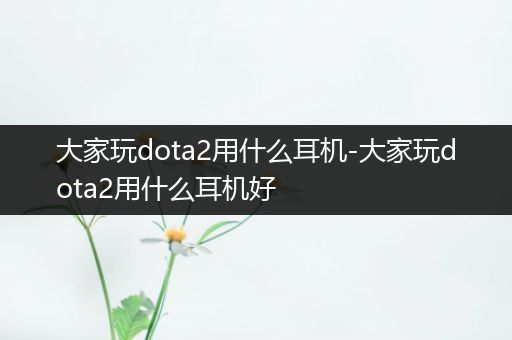 大家玩dota2用什么耳机-大家玩dota2用什么耳机好