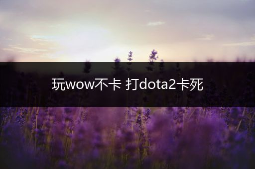 玩wow不卡 打dota2卡死