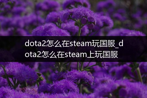 dota2怎么在steam玩国服_dota2怎么在steam上玩国服