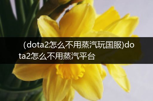 （dota2怎么不用蒸汽玩国服)dota2怎么不用蒸汽平台