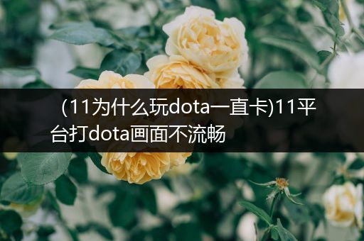 （11为什么玩dota一直卡)11平台打dota画面不流畅