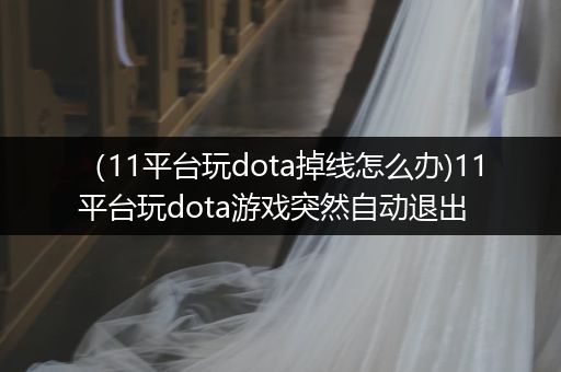 （11平台玩dota掉线怎么办)11平台玩dota游戏突然自动退出