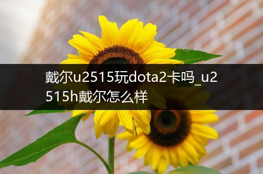 戴尔u2515玩dota2卡吗_u2515h戴尔怎么样