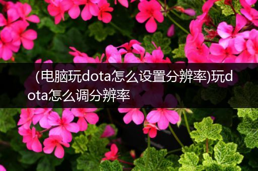 （电脑玩dota怎么设置分辨率)玩dota怎么调分辨率