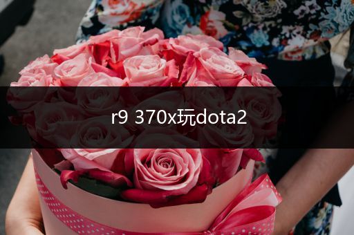 r9 370x玩dota2