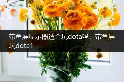 带鱼屏显示器适合玩dota吗，带鱼屏玩dota1