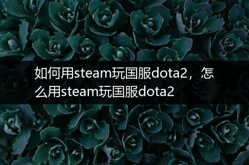 如何用steam玩国服dota2，怎么用steam玩国服dota2