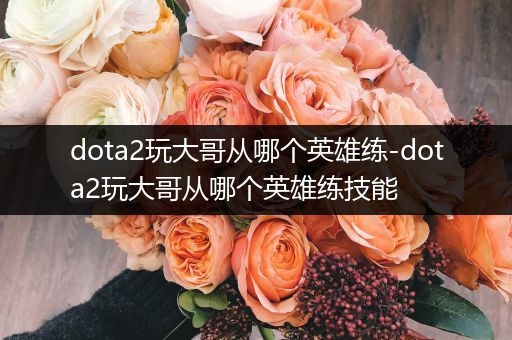 dota2玩大哥从哪个英雄练-dota2玩大哥从哪个英雄练技能