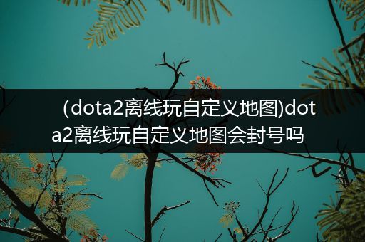 （dota2离线玩自定义地图)dota2离线玩自定义地图会封号吗