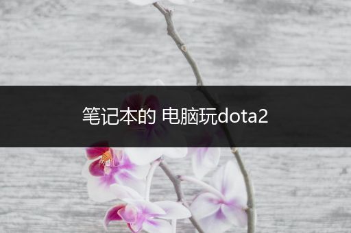 笔记本的 电脑玩dota2