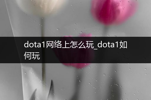 dota1网络上怎么玩_dota1如何玩
