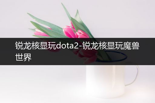 锐龙核显玩dota2-锐龙核显玩魔兽世界