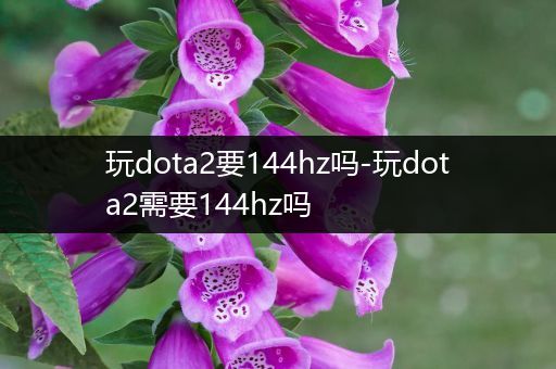 玩dota2要144hz吗-玩dota2需要144hz吗