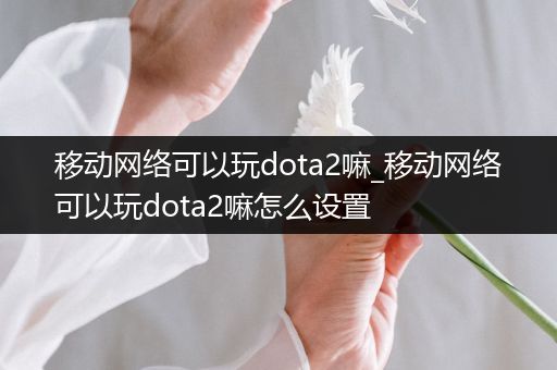 移动网络可以玩dota2嘛_移动网络可以玩dota2嘛怎么设置