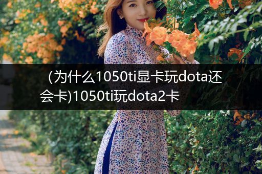 （为什么1050ti显卡玩dota还会卡)1050ti玩dota2卡