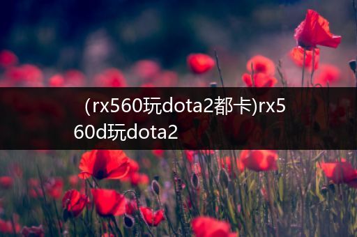 （rx560玩dota2都卡)rx560d玩dota2