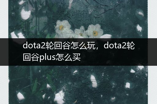 dota2轮回谷怎么玩，dota2轮回谷plus怎么买
