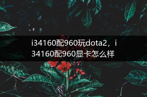 i34160配960玩dota2，i34160配960显卡怎么样