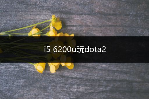 i5 6200u玩dota2